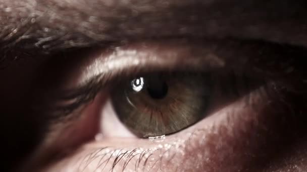 Hombre Ojo Extremo Primer plano. Increíble parpadeo masculino marrón con ojo verde. Mirada.. — Vídeo de stock