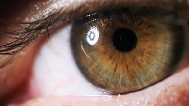 Mannelijke Eye Extreme Close up. Verbazingwekkend zicht. Bruin met groen oog. Langzame beweging. — Stockvideo