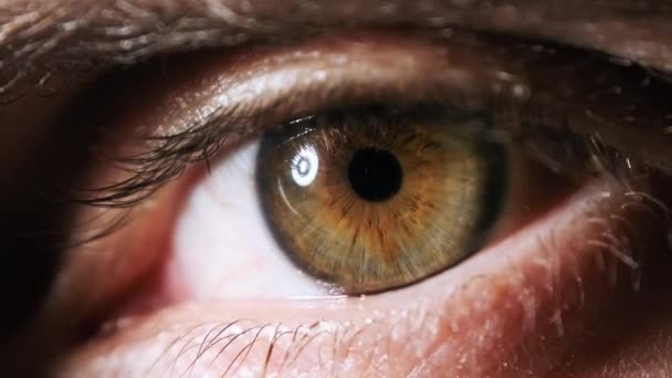 Male Eye Extreme Close-up. Amazing Blinking Male Brown dengan Green Eye. Penglihatan. — Stok Video
