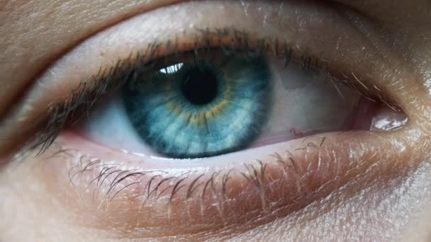 Prachtige Blue Woman Eye, Extreme Close-up. Goed gezien. Detail View Jonge meisjes oog — Stockvideo