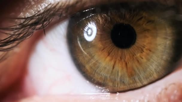 男性の目の極端なクローズアップ.驚くべき眼。緑の目で茶色。スローモーション. — ストック動画