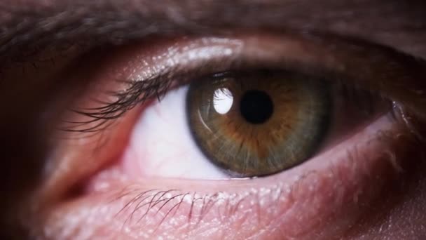 Mannelijke oog Extreme Close-up. Verbazingwekkend knipperende man bruin met groen oog. Zicht. — Stockvideo