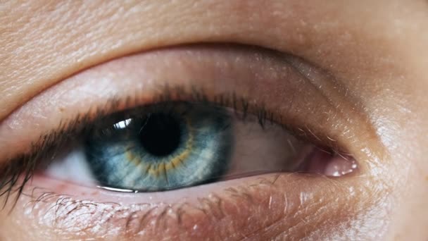 Güzel Mavi Kadın Gözü, aşırı yakın plan. Görüş. Ayrıntılı Görünüm Genç Kız Gözü — Stok video