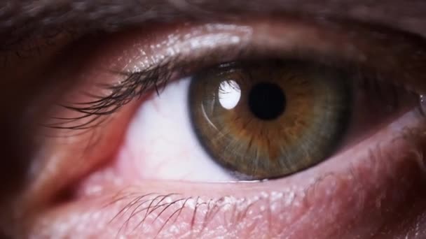 Male Eye Extreme Close up. Amazing Eyesight. Brown with Green eye. Slow motion. — Stock Video