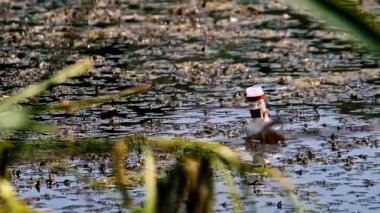 Tek bir cam şişe, nehirlerimizdeki ve göllerimizdeki sürekli kirlilik sorununu simgeleyen bulanık, alglerle kaplı suda amaçsızca yüzüyor. Sahne çevresel ihmal ve atıkları vurguluyor.