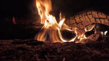 Geceleri parlayan bir kamp ateşinin alçak açılı perspektifi. Alevler orman zemininde, çam iğneleriyle çevrili kömürleşmiş kütüklerden yukarıya doğru yalayarak dinamik ve sürükleyici bir sahne yaratır..