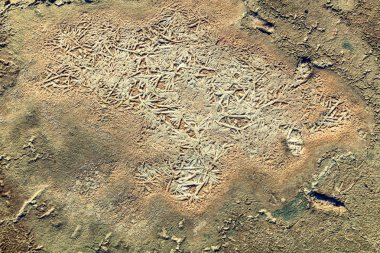 Kabuk tuz şifalı çamur kuru gölün dibinde. Tuz Gölü yüzeyi.