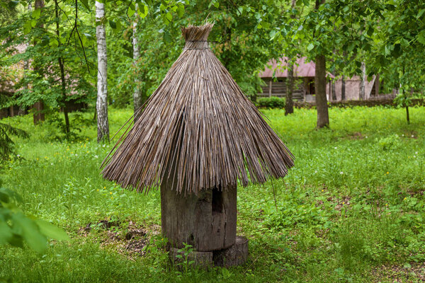 An ancient hive in the middle of a forest glade. Made from a trunk of a tree with a thatched roof, was called a dummy or a board