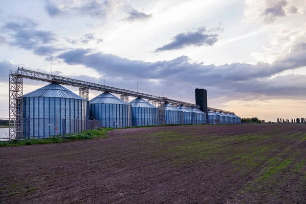Tahıl, ayçiçeği tohumu, Mısır, soya fasulyesi ve gün batımında rabs depolamak için endüstriyel metal konteynerler