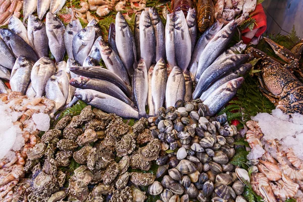Çeşitli deniz ürünleri ve balık Balık pazarında Istanbul, Türkiye, seçici odak, closeup. Gıda arka plan. Çiğ balık ve deniz ürünleri. Taze yiyecek.