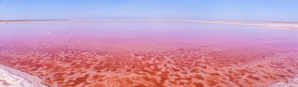 Panorama Rose Salt Lake Producción Sivash Sal Lodo Terapéutico Ukraine — Foto de Stock