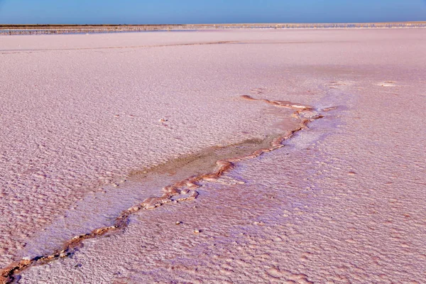 Lago Sal Rosa Producción Sivash Sal Lodo Terapéutico — Foto de Stock