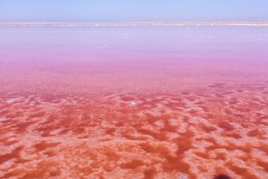 Gül tuzu gölü Sivash üretimi, tuz ve terapi çamuru. Ukrayna Kherson bölgesi.