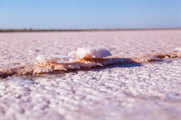 Rose salt lake Sivash production and salt and therapeutic mud.Ukraine Kherson region