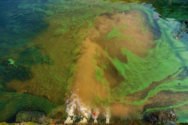 Kanalizasyon Kiev Nehir İstasyonu ile Dinyeper Nehri'nin kirliliği