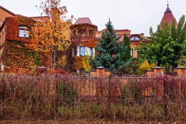 Pencerenin etrafında renkli sarmaşık yaprağı büyür. Sonbahar konsepti arka planı.