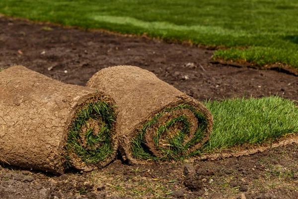 La colocación de la hierba en rollos — Foto de Stock