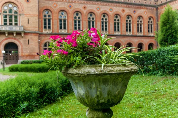 Chernivtsi Ulusal Üniversitesi