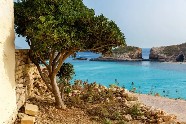 Agua cristalina pura de Blue Lagoon en Malta — Foto de Stock