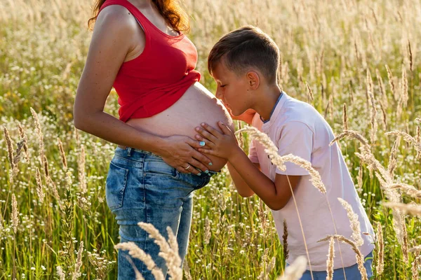 Beautiful Picture Family Which Posing Wheat Field Sunny Day — Stock Photo, Image