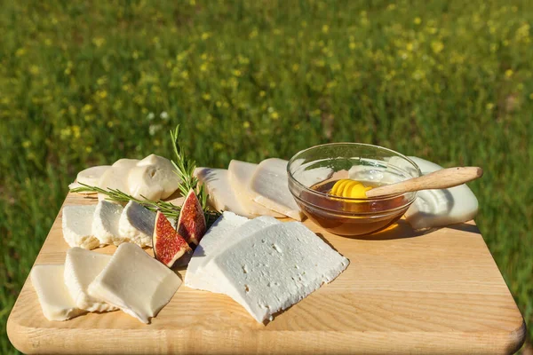 Cheese and a cup with honey on the background of a green meadow