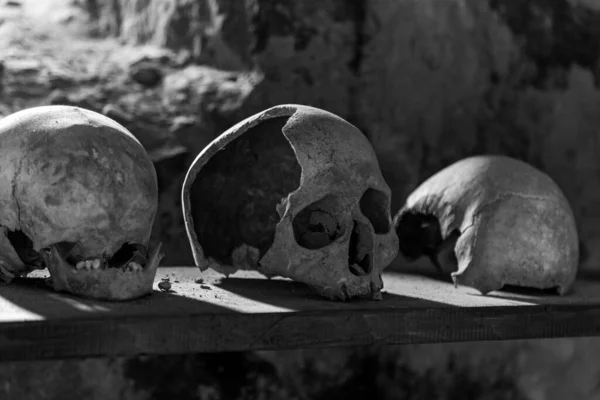 Crânes Humains Sur Une Étagère Bois Dans Une Crypte Pierre — Photo