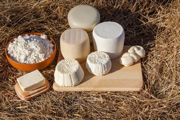 Dairy products, cheese and butter on a background of hay. Various types of cheese, cottage cheese in a clay bowl. Eco-farm dairy products