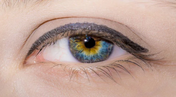 Ojo Mujer Con Pestañas Largas Pintadas Maquillaje Profesional Macro Primer — Foto de Stock