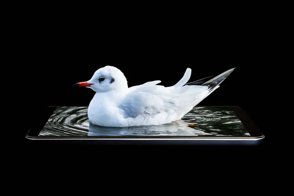 Una Creativa Foto Volumétrica Conceptual Pájaro Flotando Sentado Deriva Agua —  Fotos de Stock