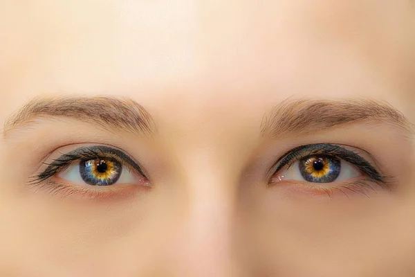 Olhos Femininos Com Pestanas Longas Macro Close Maquiagem Profissional — Fotografia de Stock