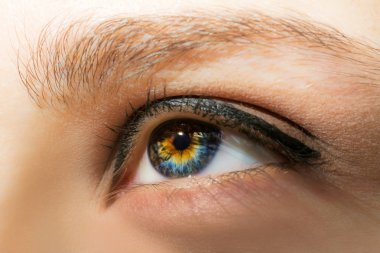 Uzun kirpik ve profesyonel makyaj yakın çekim makro kadın göz