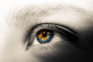 Renkli kadın göz uzun kirpik ve profesyonel makyaj yakın çekim makro ile yaratıcı siyah beyaz fotoğraf