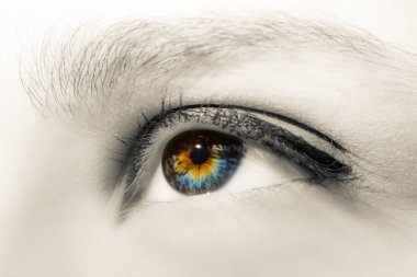 Renkli kadın göz uzun kirpik ve profesyonel makyaj yakın çekim makro ile yaratıcı siyah beyaz fotoğraf