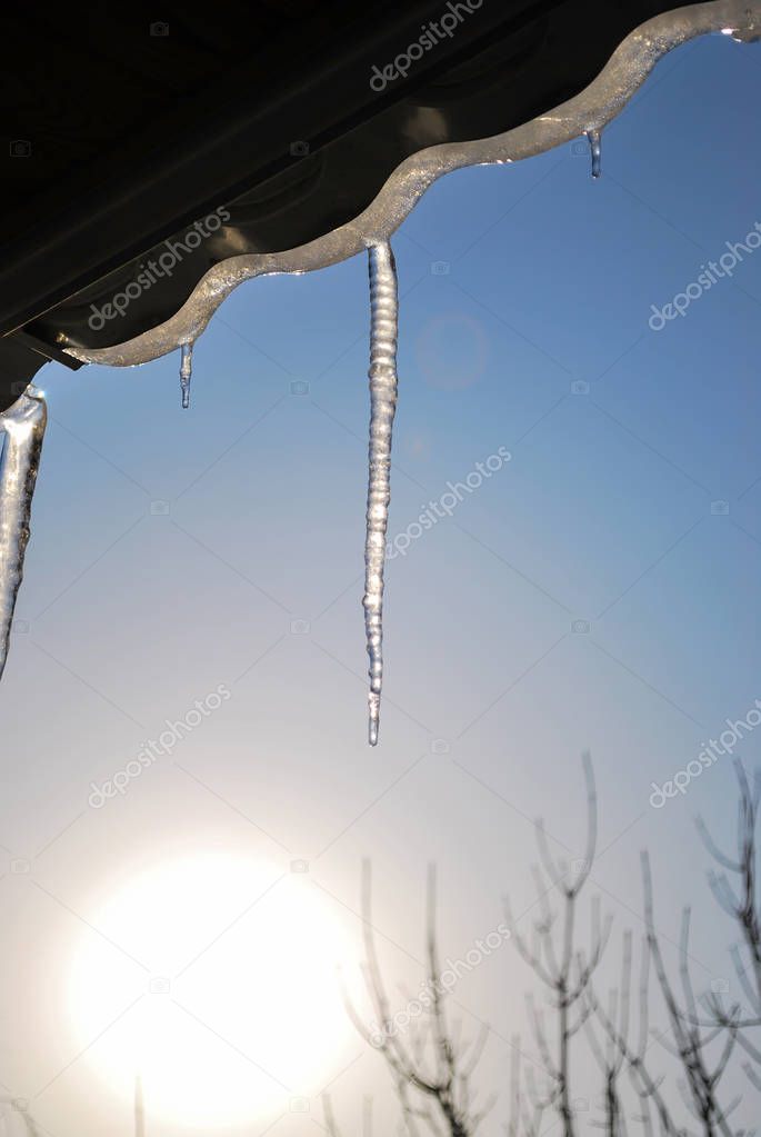Icicles hanging from the roof in the rays of the sun against the blue clear sky