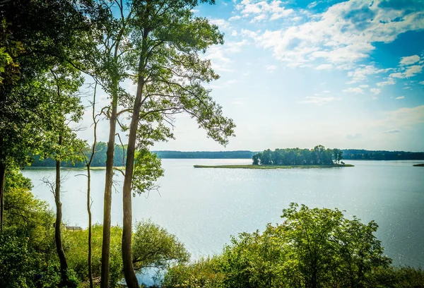 Landscape with a lake with green blooming trees on a clear sunny day. — Stock Photo, Image