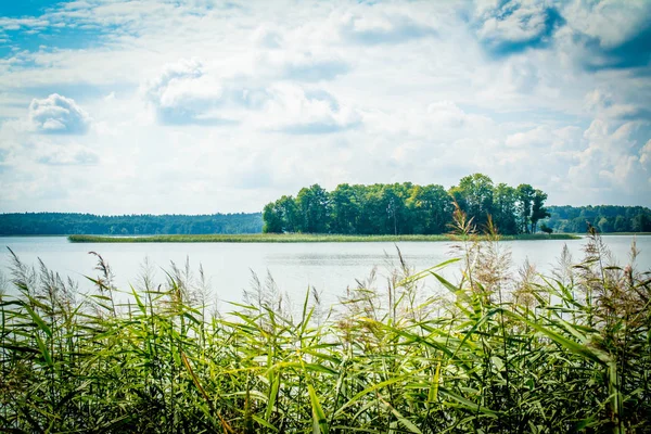 Paisagem com um lago com árvores verdes florescendo em um dia ensolarado claro . — Fotografia de Stock