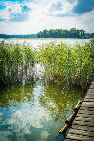 Táj, ahol egy tó és egy régi híd, egy platform, egy létra a vízbe egy világos napsütéses napon. — Stock Fotó