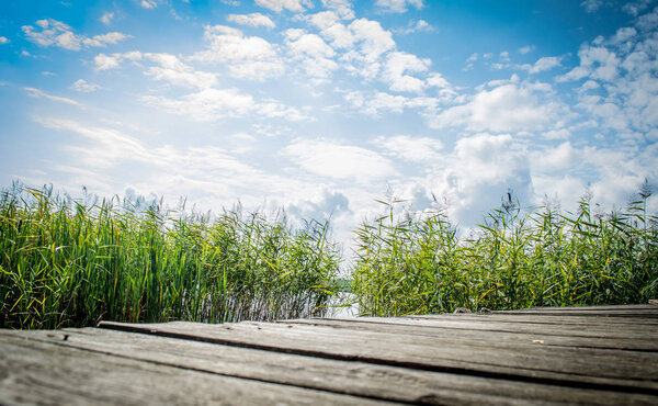 Landscape with an old wooden platform with a view of the reeds against the blue sky on a clear sunny day.
