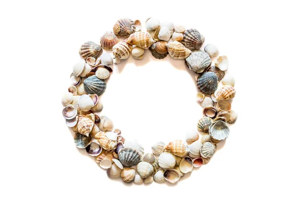 Ronde cirkelframe van verschillende schelpen geïsoleerd op witte achtergrond met ruimte voor tekst. Mollusk Seashell textuur. — Stockfoto