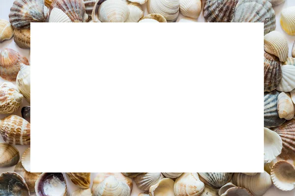 Fondo con diferentes conchas marinas en los lados y aislado en el centro del espacio en blanco para el texto. Foto grande . —  Fotos de Stock