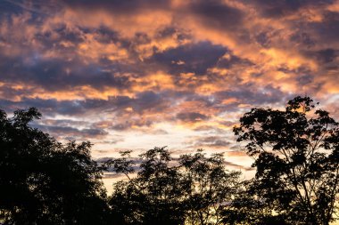 Gün batımı ve ağaçların siluetleri renkli bulutlar ile güzel gökyüzü.