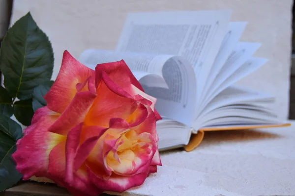 The book opens, and the book page rolls into the heart colorful background selective focus and with a very shallow depth of field