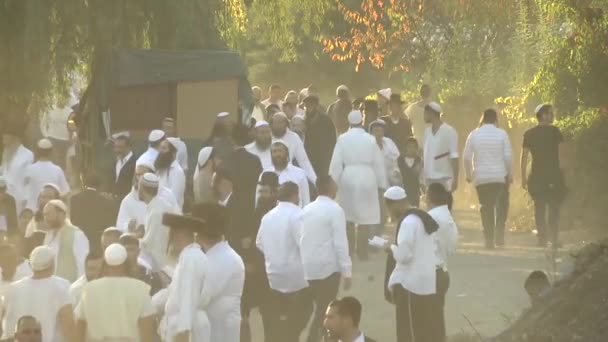 Ekim 2016 Uman Cherkasy Bölgesi Ukrayna Rosh Hashanah Uman Içinde — Stok video