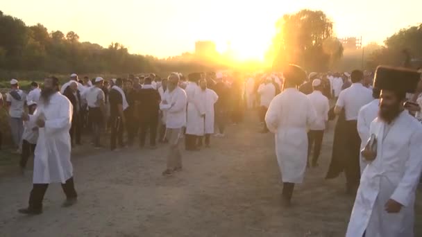 Ekim 2016 Uman Cherkasy Bölgesi Ukrayna Rosh Hashanah Uman Içinde — Stok video