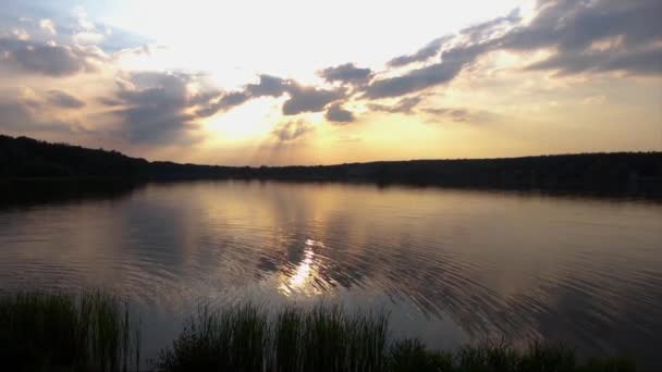 Antenas Agua Vista Aérea Del Hermoso Lago Bosque Verde Atardecer — Vídeos de Stock