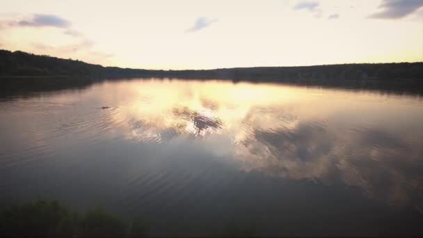 Antenler Havadan Görünümü Güzel Göl Gün Batımında Yeşil Orman Renkli — Stok video