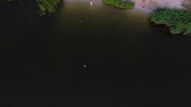 水のアンテナ まっすぐに湖のビーチの眺め 湖の穏かな人 — ストック動画