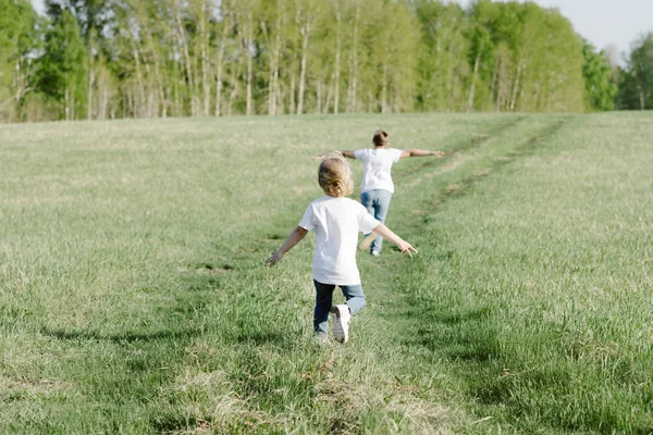 Hermano y hermana juegan en el verano en el prado —  Fotos de Stock