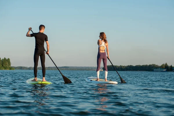 Rückseite Ganzkörperporträt Eines Rudernden Jungen Paares Auf Stand Paddle Brettern — Stockfoto