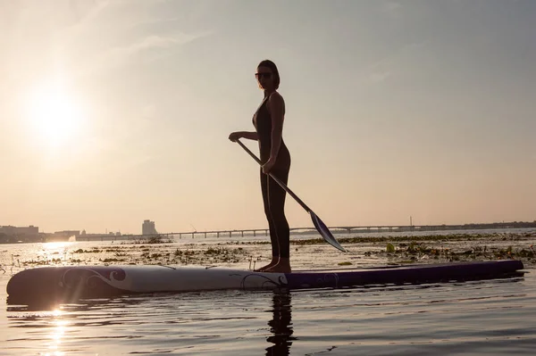 SUP stand up paddel ombord kvinna paddel ombordstigning — Stockfoto